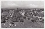 CH-VUARRENS + VACHES .(petit Trou En Haut) - Vuarrens