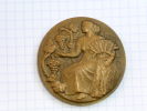 Ministère De L´Agriculture- Bronze - Antes De 1871