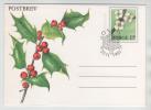 Norway POSTBREV FDC 25-11-1981Christmas - FDC