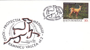 DEER, ENVIRONMENT PROTECTION, 1998, SPECIAL COVER, OBLITERATION CONCORDANTE, ROMANIA - Selvaggina