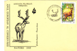 DEER, NATURE CONSERVATION EUROPEAN YEAR, 1995, SPECIAL COVER, OBLITERATION CONCORDANTE, ROMANIA - Selvaggina