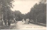 BOIS DE CISE. ROUTE DU VIEUX CHENE . - Bois-de-Cise