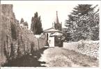 BONNIEUX  Vieille église  No V 62811 - Bonnieux