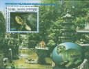 Cambodge 2000, Turtle, Michel BL266, MNH 16881 - Schildpadden