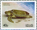 Pakistan 1981, Turtle, Michel 548, MNH 16904 - Tortues