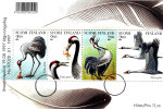 FINLAND. SPECIMEN. - Cranes And Other Gruiformes