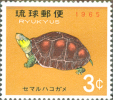 Ryukyus 1965, Turtle, Michel 165, MNH 16917 - Tortues