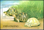 Togo 1996, Turtle, Michel BL401, MNH 16926 - Schildkröten