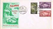 Carta F.D.C. Aaiun ( Sahara) 1964, Peces, Fish, Dia Del Sello - Sahara Español