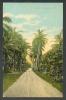 PHILIPPINES , ROAD TO LUCENA  , OLD POSTCARD - Philippines