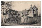 38 SAINT CHEF - Vieux Chateau De Saint Chef - Saint-Chef