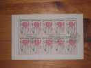 CSSR Ceskoslovensko Sheet Bogen Blume Blumen Flower Gest. Used 60 H Stempel 23.3.1966 Praha Prag Druckereizeichen - Blokken & Velletjes