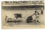 COURSES DE TAUREAUX. - - Corridas