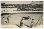 COURSES DE TAUREAUX. -  Arènes De BEZIERS - Corridas