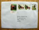 Cover Sent From Belgium To Lithuania, Birds, Oiseaux, Atntverpia 2010, Middelheim - Storia Postale