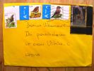 Cover Sent From Belgium To Lithuania, Birds, Oiseaux, Musical Instrument, Painting, Rene Magritte - Covers & Documents