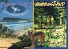 FRASER ISLAND Queensland - Unesco Heritage - Other & Unclassified