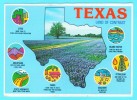 Postcard - Texas, Maps    (V 10694) - Otros & Sin Clasificación
