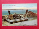 - New Jersey > Atlantic City    Sand Artist   1907  Cancel  ==  Ref 480 - Atlantic City