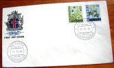 ==ISLAND FDC 1962 - FDC