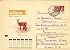 DEER, 1972, COVER STATIONERY, ENTIER POSTAL, SENT TO MAIL, RUSSIA - Gibier