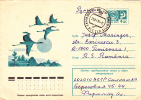 STORKS, 1975, COVER STATIONERY, ENTIER POSTAL, SENT TO MAIL, RUSSIA - Ooievaars