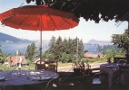 VEYRIER DU LAC Haute Savoie 74 : Hotel Des ACACIAS Un Coin De La Terrasse Avec Vue Sur Le Lac - Veyrier