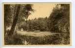 Delcampe - Saint-Hubert -  La Fontaine Et Le Parc - Ed. Thill - Saint-Hubert