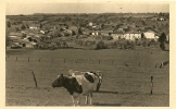 Carte Postale Ancienne De VICHEREY-Vue Générale Du Centre - Urimenil