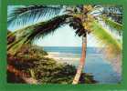 The Sunny Caribbean-Tropical Splendor In The Caribbean-Paisible Côte Antillaise - Otros & Sin Clasificación