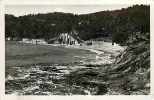 Var : Mar12 892 : Le Rayol  -  Plage  -  Semi-moderne 9x14 - Rayol-Canadel-sur-Mer