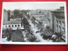 ALGERIE - SIDI BEL ABBES - BOULEVARD DE LA REPUBLIQUE - - Sidi-bel-Abbes