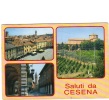 ZS29158 Italia Cesena Multiviews Used Perfect Shape Back Scan At Request - Cesena