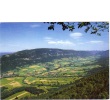 ZS28373 Switzerland Moutier Panorama Not Used Perfect Shape Back Scan At Request - Moutier