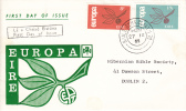 Ireland Scott #204-#205 FDC Europa - Leaves And Fruit - FDC