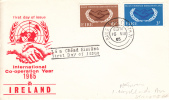 Ireland Scott #202-#203 FDC International Cooperation Year - FDC