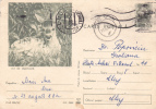 SMALL DEER, 1970, CARD STATIONERY, ENTIER POSTAL, SENT TO MAIL, ROMANIA - Game