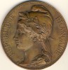 MEDAILLE  BRONZE # ELECTION DU PRESIDENT DE LA  REPUBLIQUE JULES GREVY # 1885 # GRAVEUR: M.BOURGEOIS - Professionals / Firms