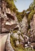 CPA - LES GRANDS GOULETS - VERCORS PITTORESQUE - N° 222 -  DENTELEE - Les Grands Goulets