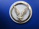 Militaria:insigne Militaire De L'armée Française (pr Béret Au Calot )support Plastique  Gris Ailes étoile Aspect Argenté - Fuerzas Aéreas