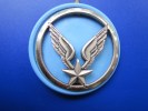 Militaria:insigne Militaire De L´armée Française (pr Béret Au Calot )support Plastique Bleu Ailes étoile Aspect Argenté - Luchtmacht