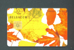 BELGIUM  -  Chip Phonecard As Scan - Met Chip