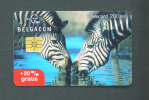 BELGIUM  -  Chip Phonecard/Zebra As Scan - With Chip