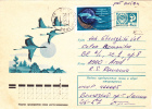 STORKS, 1966, COVER STATIONERY, ENTIER POSTAL, SENT TO MAIL, RUSSIA - Storks & Long-legged Wading Birds