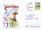 STORK, 1998, COVER STATIONERY, ENTIER POSTAL, SENT TO MAIL, ROMANIA - Cicogne & Ciconiformi