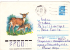 DEER, 1978, COVER STATIONERY, ENTIER POSTAL, SENT TO MAIL, RUSSIA - Wild