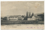 Souvenir De Champagne Phot J. Spalinger Timbrée Onnens - Champagne