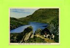 Irlande - !turnpike Rock And Auger Lake, Gap Of Dunloe, Killarney - Otros & Sin Clasificación