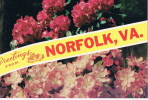 Norfolk  Greetings From - Norfolk