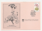 Carte 1er Jour  - Fleur - Rooirabas (Pelargonium Reniforme) - Transkei